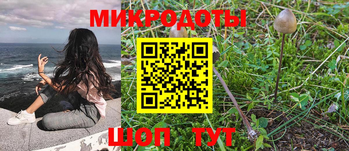 Псилоцибиновые грибы Magic Shrooms Великие Луки
