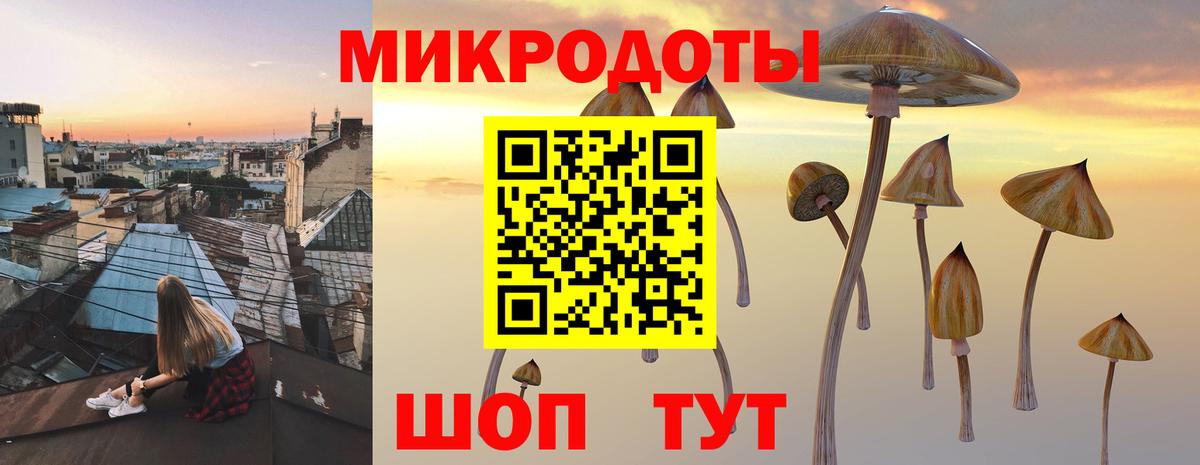 Галлюциногенные грибы Magic Shrooms  Псилоцибиновые грибы мицелий  Великие Луки  Вход с VPN 